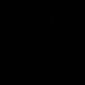 Meet your Posher, Madeline